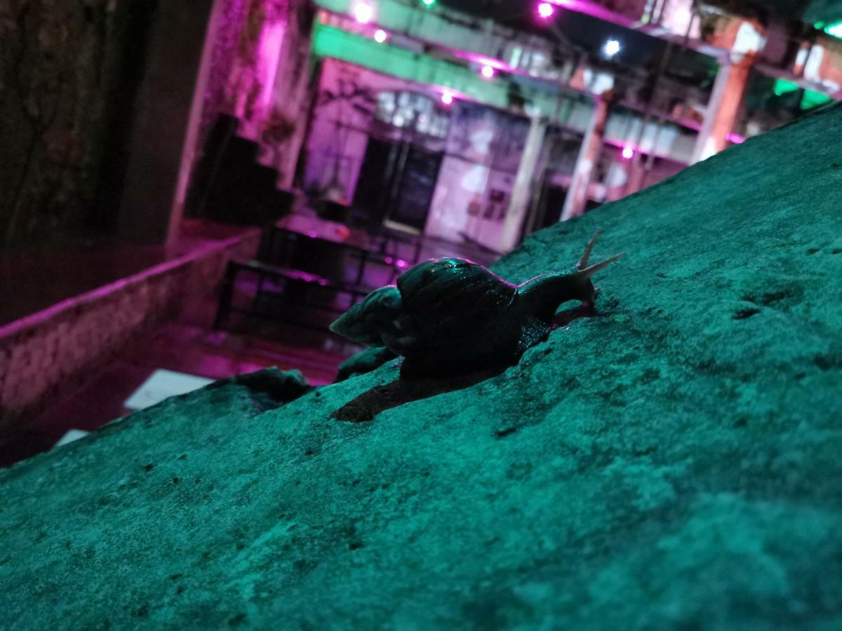 Bat & Arrow Ξενοδοχείο Παντάνγκ Εξωτερικό φωτογραφία